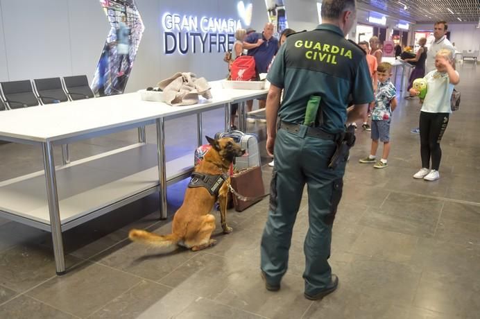 REPORTAJE UNIDAD CANINA AEROPUETO DE GRAN CANARIA