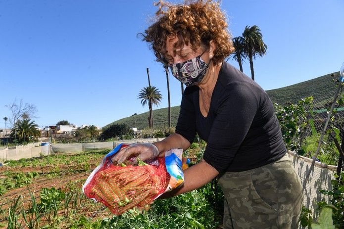 Huertos que dan la vida en Agüimes