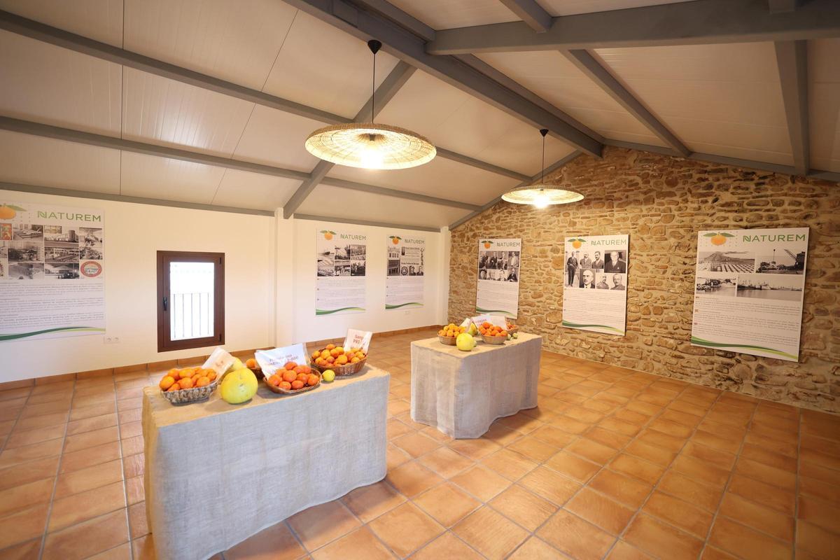 Galería de fotos de la inauguración del centro de interpretación citrícola de Burriana