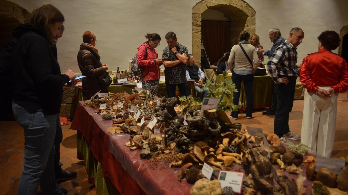 La Exposición Micológica de Benavente, en imágenes