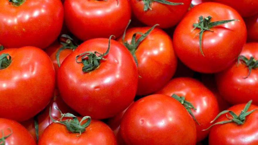 El calor &#039;mata&#039; al 60% del tomate de Águilas y Mazarrón