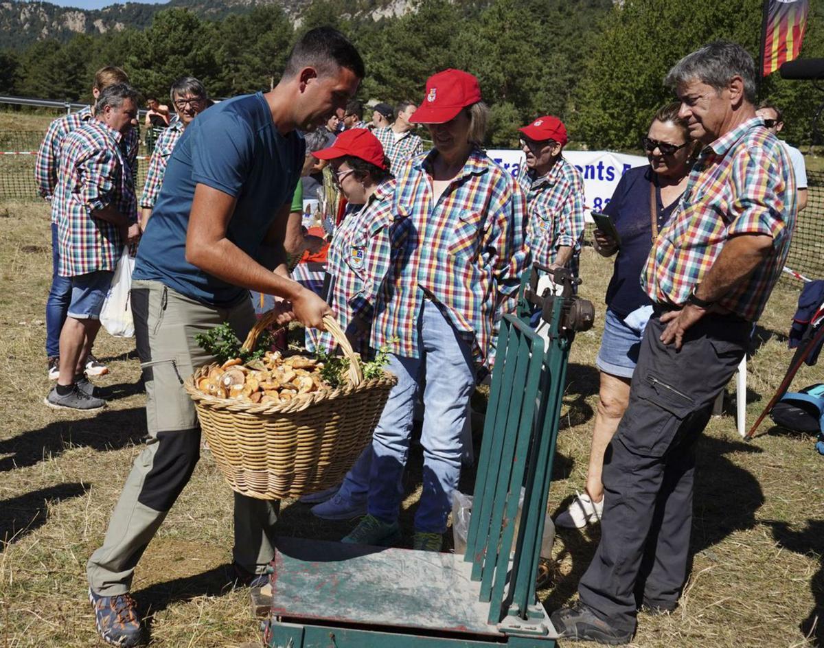 Berga ofereix tastar tapes de bolets i omplir cistelles