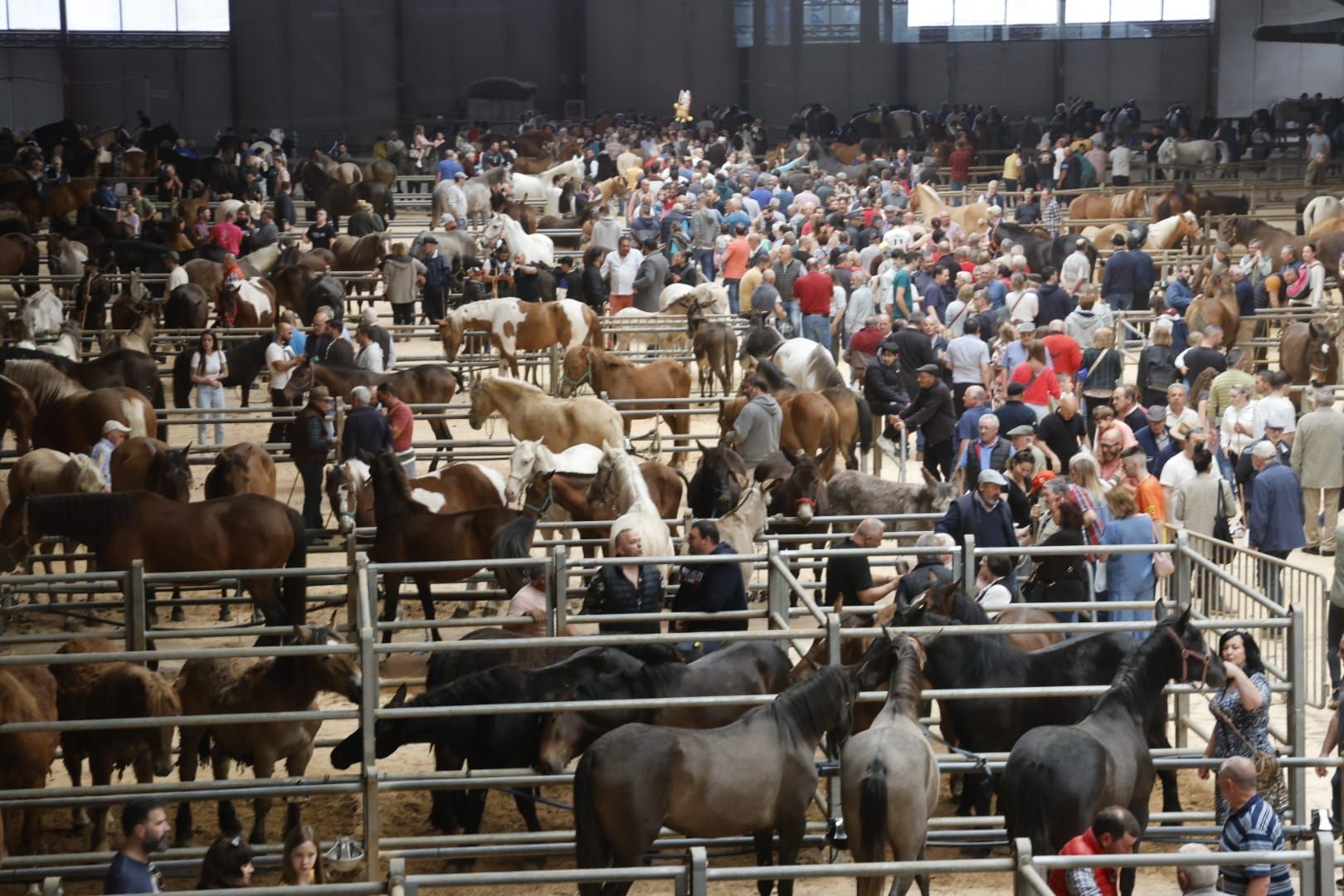 Éxito de la Feira Cabalar de la Ascensión en Amio