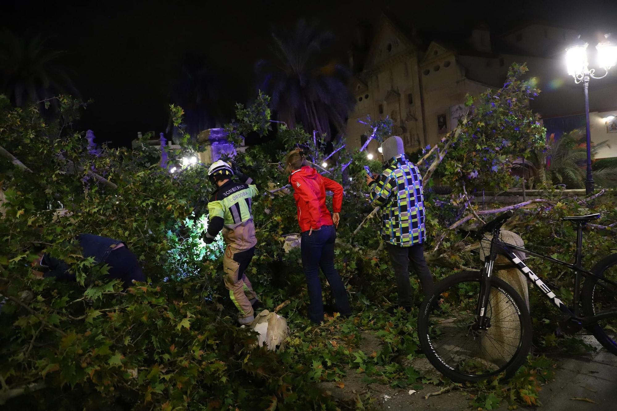 Los efectos del temporal en Córdoba, en imágenes