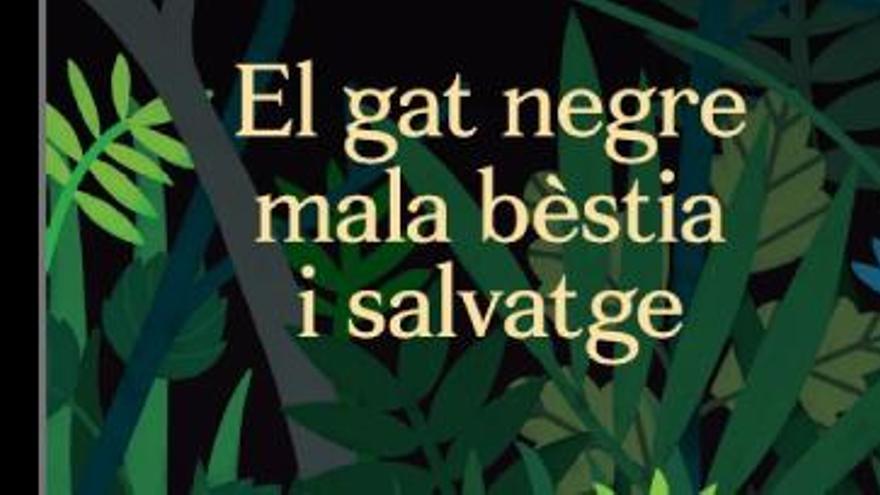 «El gat negre mala bèstia i salvatge»