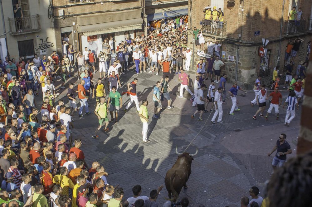 La carrera del Toro Enmaromado 2017 Razonador