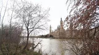 Así luce el río Ebro en Zaragoza tras las lluvias y el deshielo: el nivel máximo de agua se alcanzará el jueves por la noche