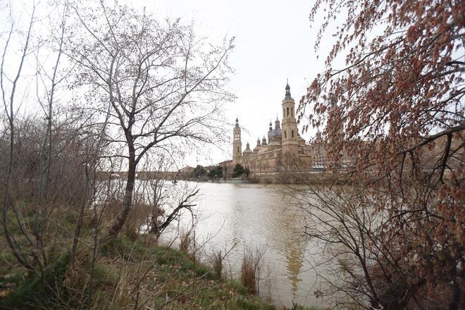 Así luce el Ebro en Zaragoza tras las últimas lluvias y el deshielo