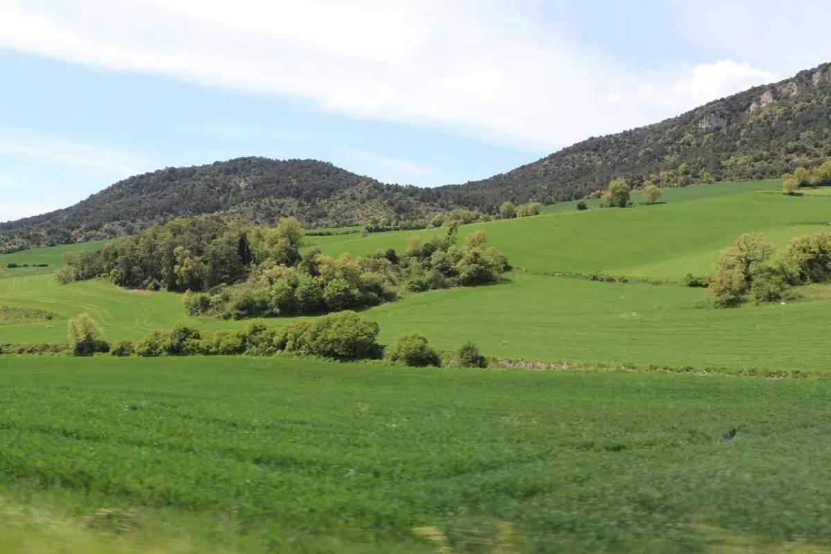Durante la primavera los campos de Valdegovía son perfectos para hacer rutas de senderismo