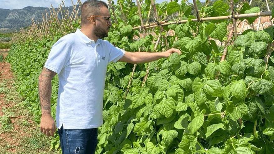 Freshco&#039;s, la opción ideal para consumir fruta y verdura ecológica