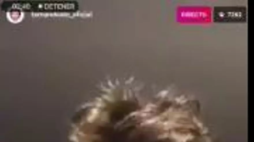 Fernando Alonso contesta a un aficionado en directo