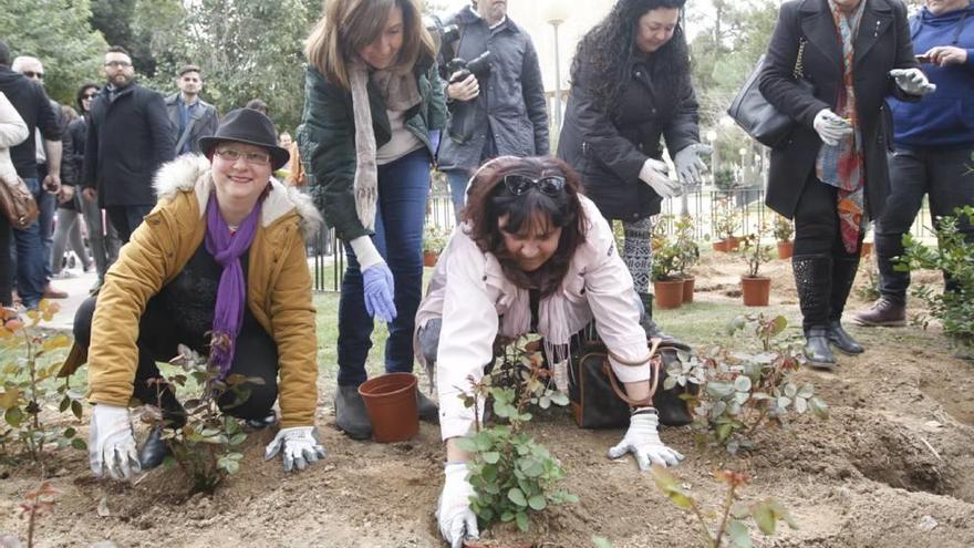 Un árbol por la vida y contra el cáncer