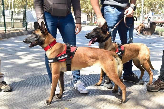 Presentación de la unidad canina para detectar ...