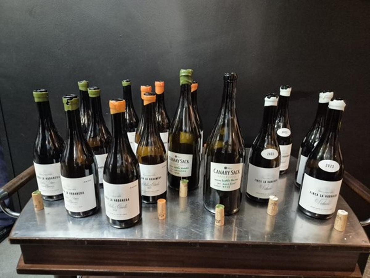 Selección de vinos de Finca La Habanera para la ocasión.