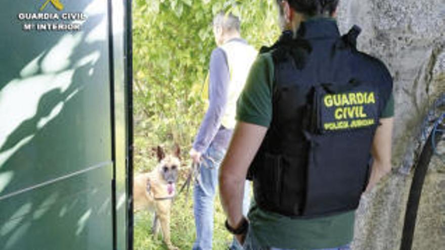 Agentes durante el operativo // G.Civil