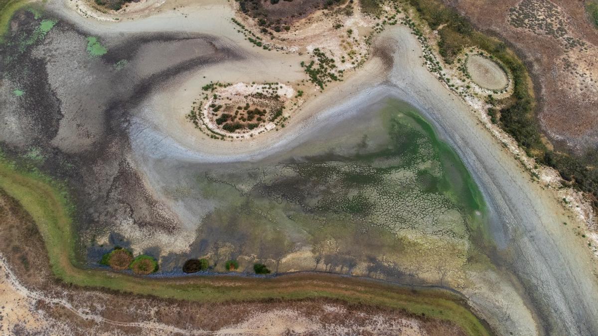 La laguna más grande de Doñana, la de Santa Olalla, se seca por tercer año consecutivo desde que se tienen registros