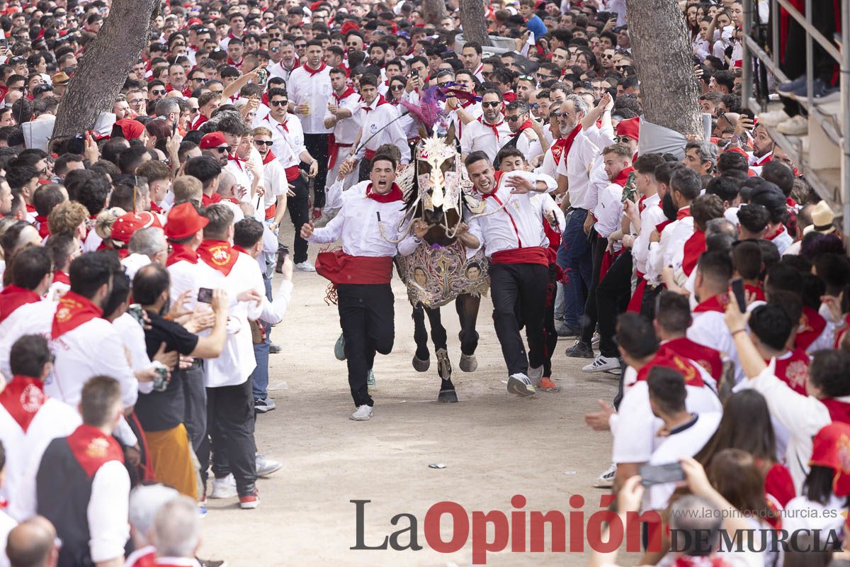 Así se ha vivido la carrera de Los Caballos del Vino en Caravaca