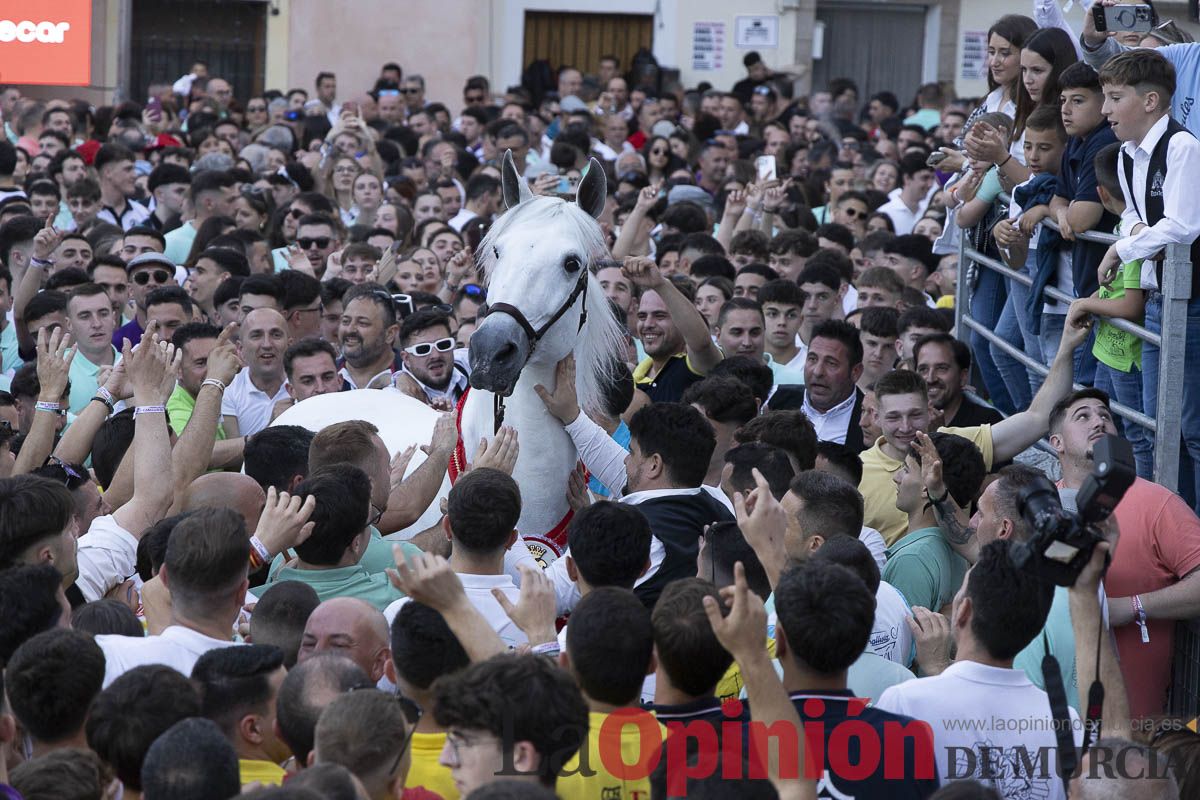 Fiestas de Caravaca | Entrega de premios del concurso morfológico