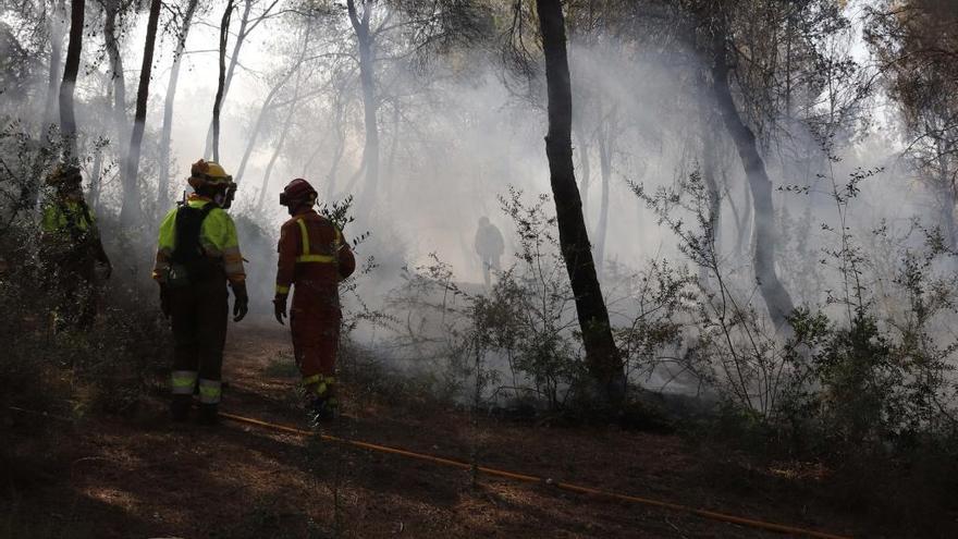 Desalojan varios chalés al arder cinco hectáreas en Rafelguaraf