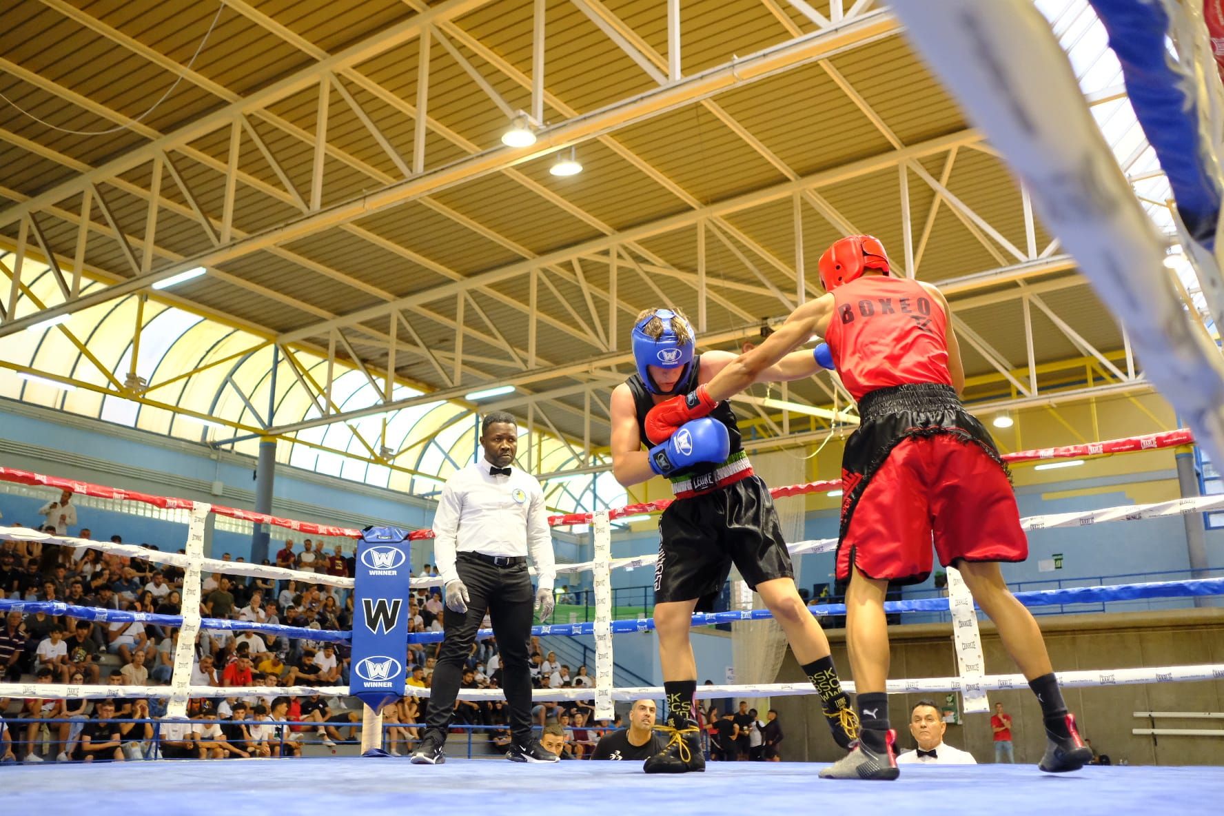 La cantera canaria de boxeo se luce en el Juan Beltrán Sierra