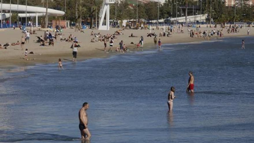 El calor animó a más de un valiente a meterse en el mar.