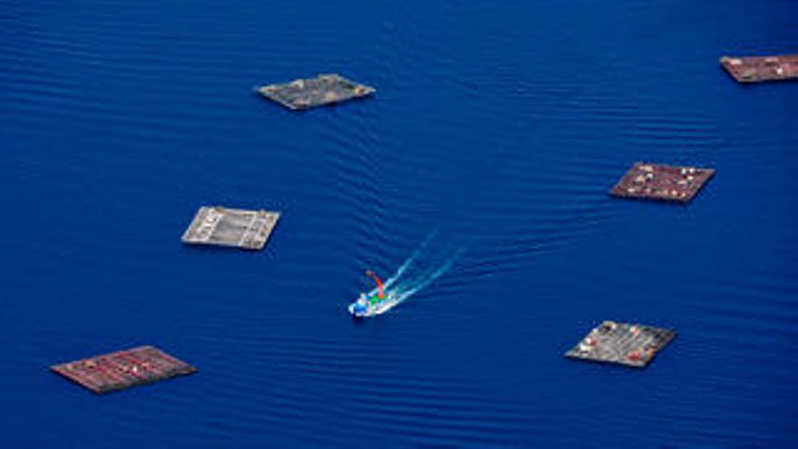 Vista aérea de la ría de Arousa.//I. Abella