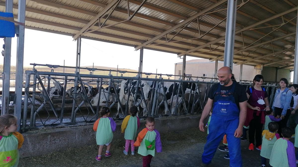 La visita de una guardería a una granja de vacas