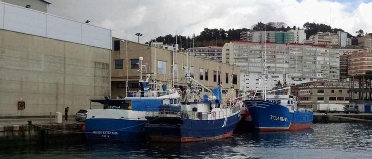 Buques de palangre en el puerto de Vigo, justo detrás del edificio de ARVI. // A.A.