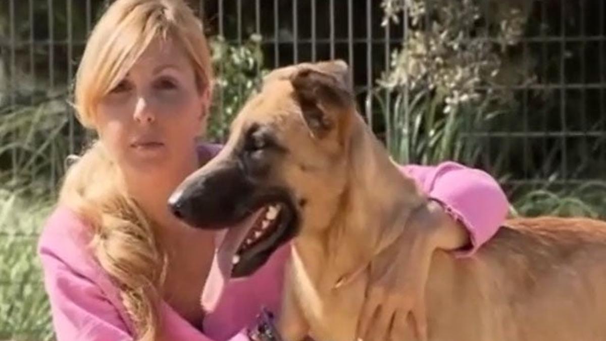 Alejandra Botto: "Hoy adoptas tú"