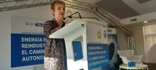 Cano: "El Consell ha autorizado 8 plantas fotovoltaicas en Castellón y 4 parques eólicos en Els Ports"