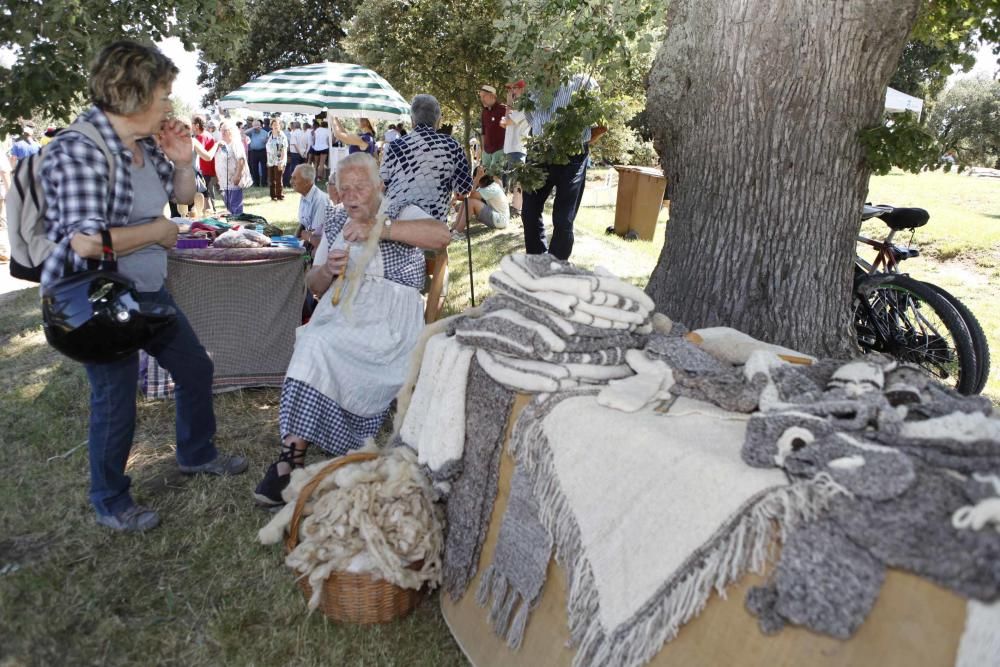 Festa del Segar i el Batre a Avià