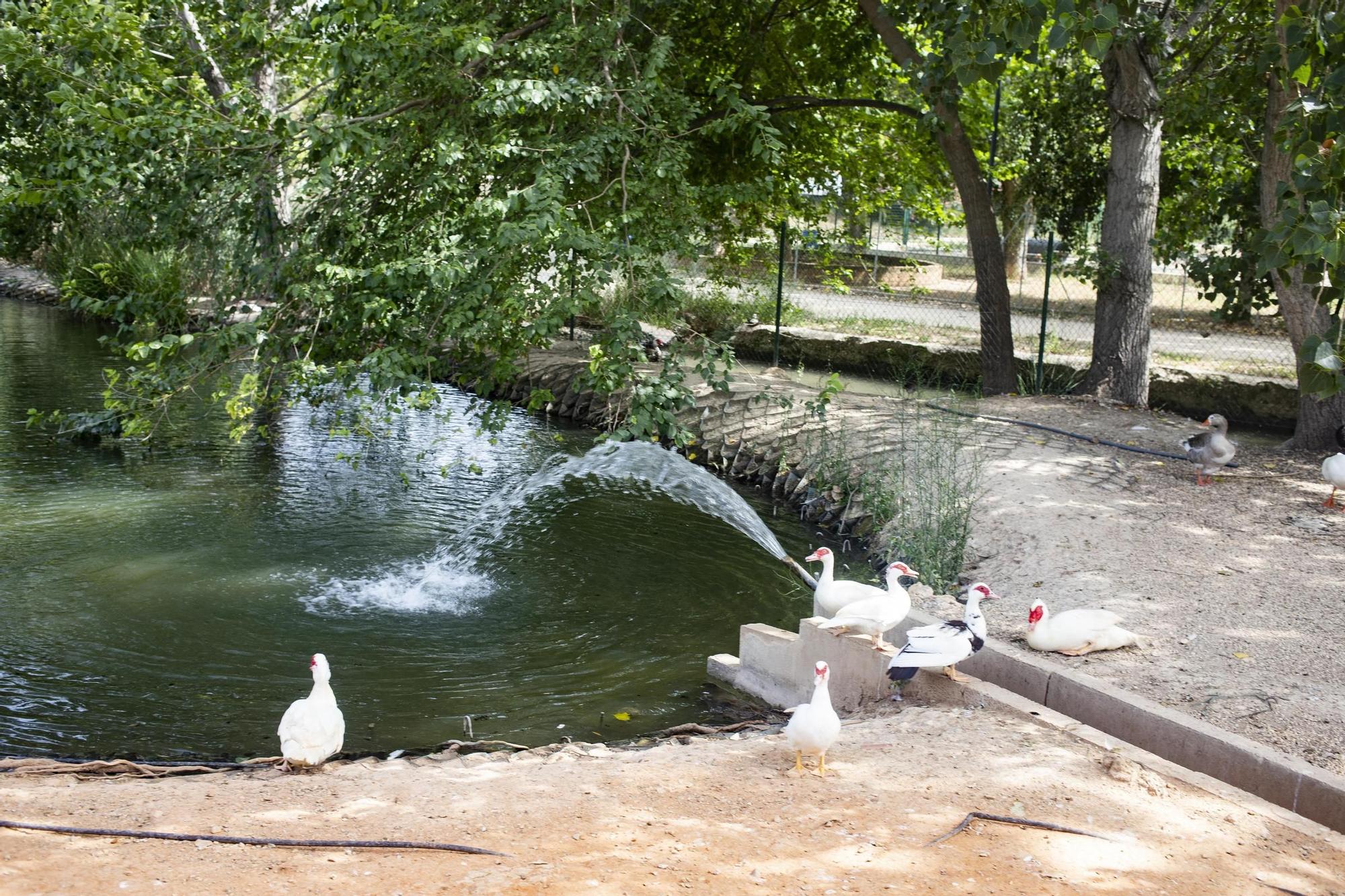Seis años de la misma problemática en el el Gorg de l’Omet