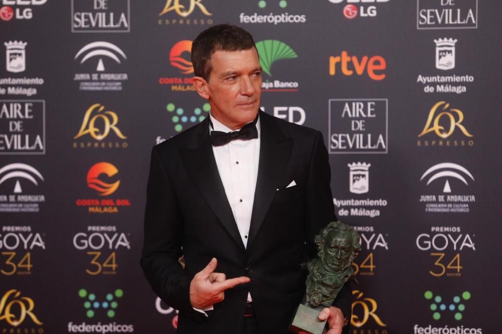 Antonio Banderas, Goya a Mejor Actor por 'Dolor y Gloria'.