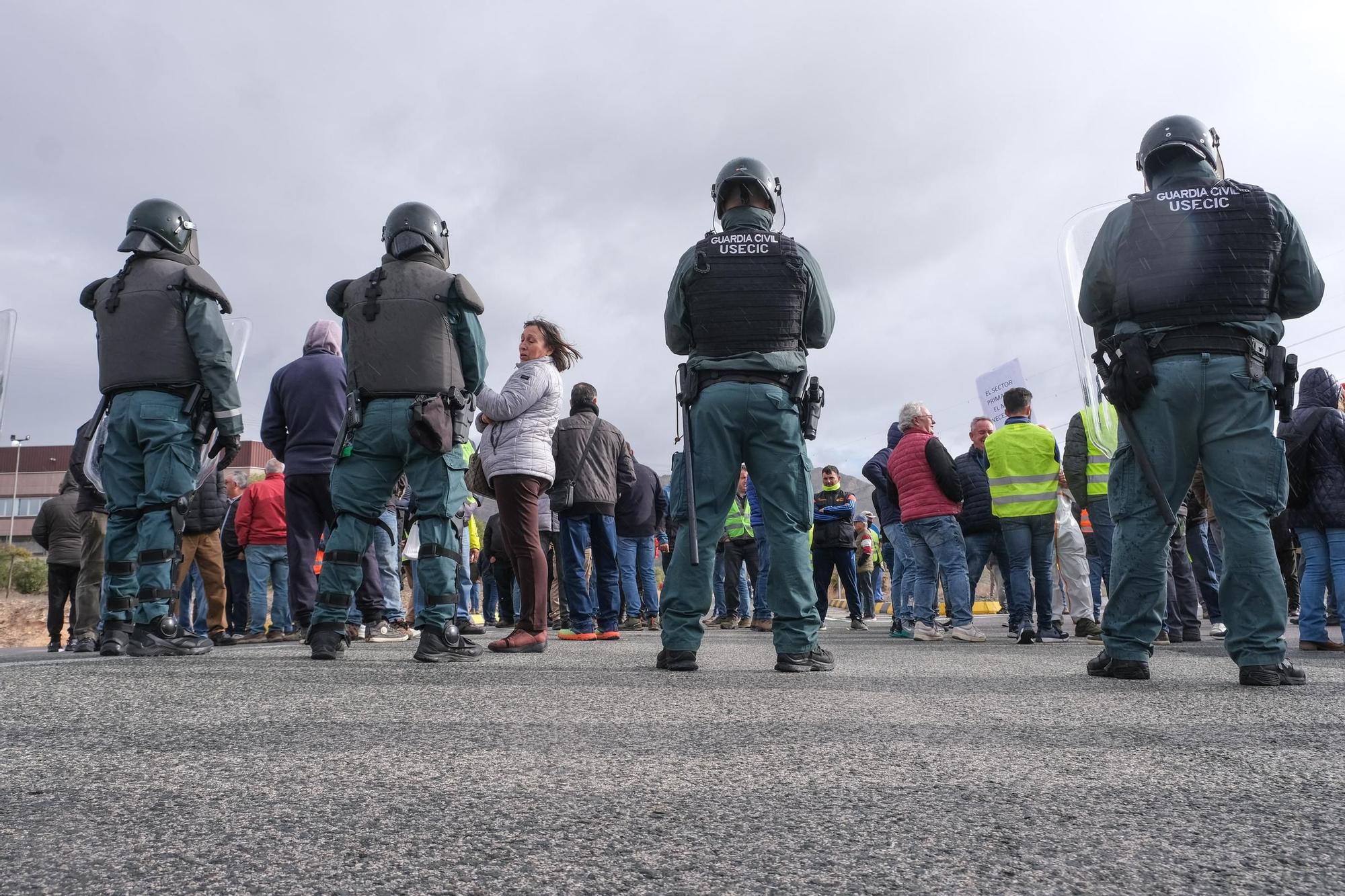 Así ha sido la protesta de agricultores del Alto y Medio Vinalopó en Villena