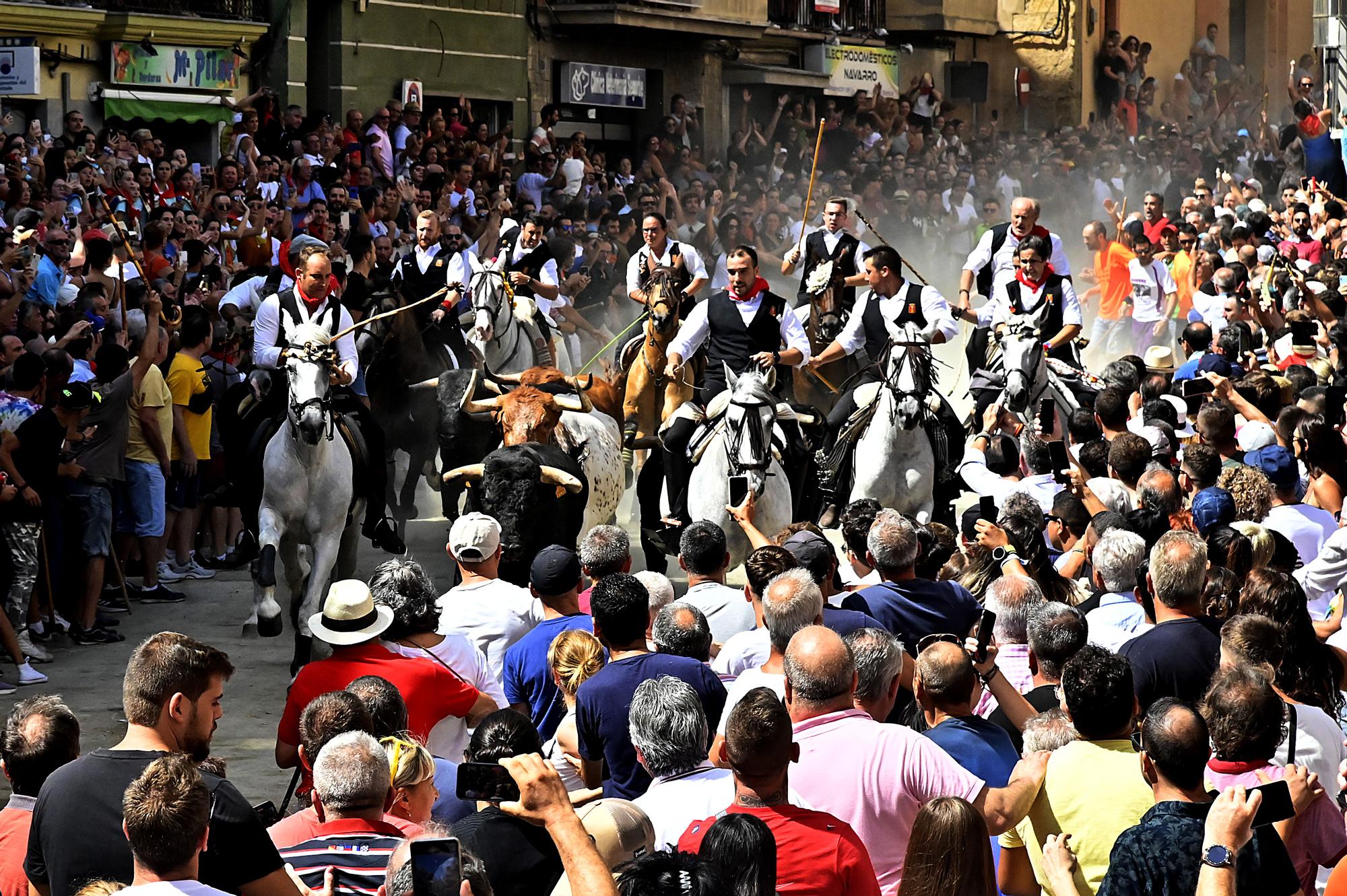 Las fotos de la última Entrada de Toros y Caballos de Segorbe