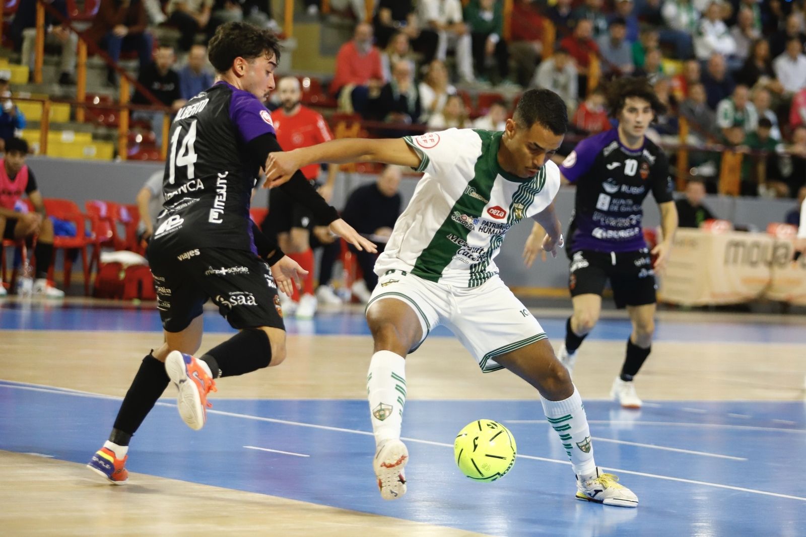 Córdoba Futsal-Burela | El partido en Vista Alegre, en imágenes
