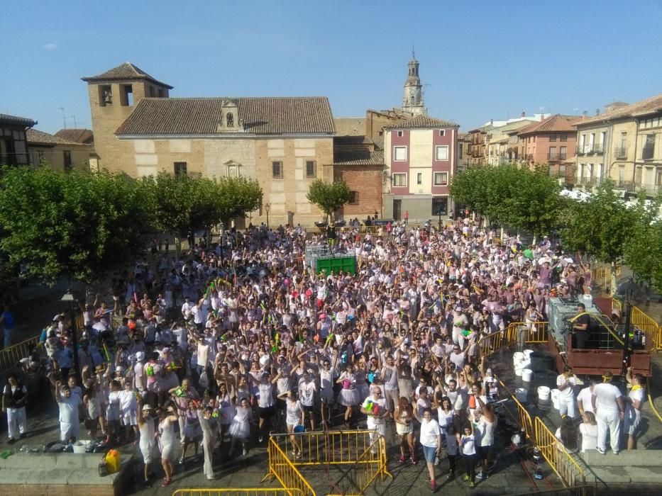 Batalla "Toro en su tinta"