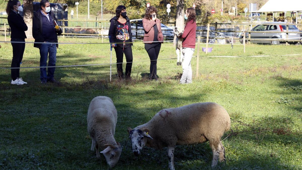 La consellera d&#039;Agricultura, Teresa Jordà, parlant amb un ramader a Ripoll, avui |