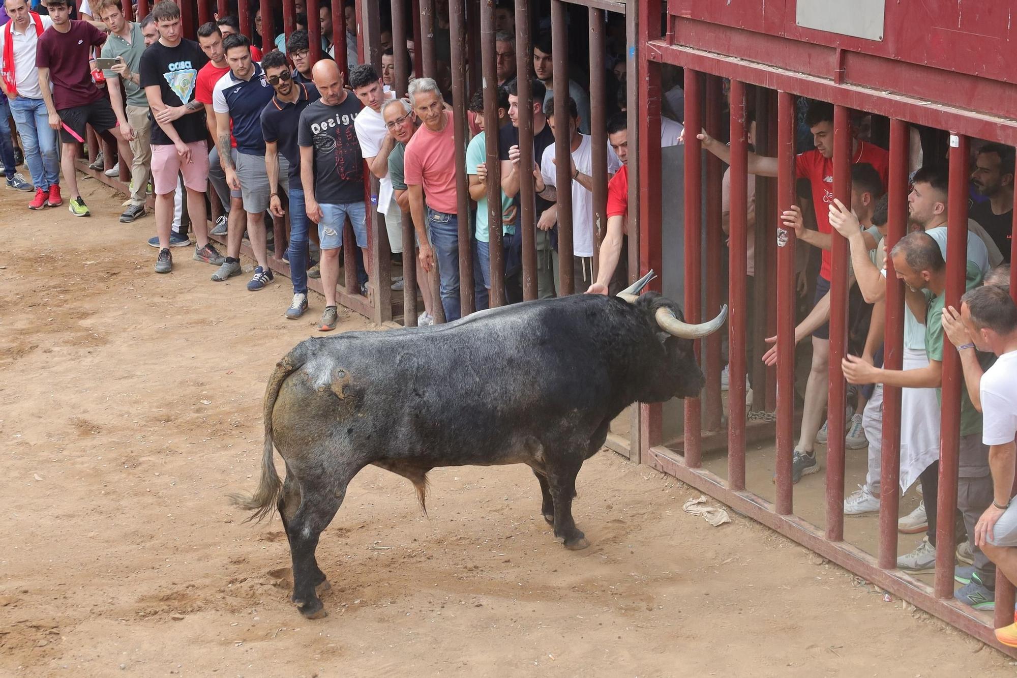 Los mejores momentos de la tarde taurina del martes de fiestas en Almassora