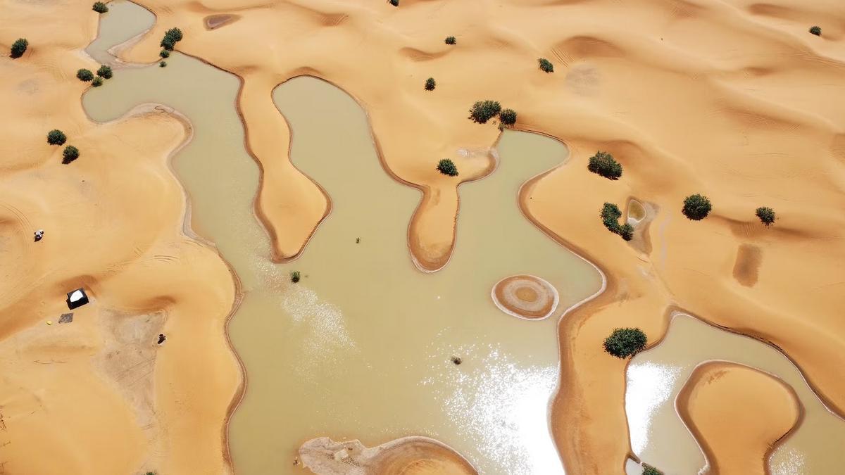 Impresionantes imágenes del desierto del Sáhara inundado