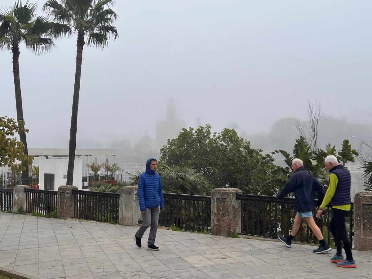 Así amanece Sevilla bajo la niebla, en imágenes