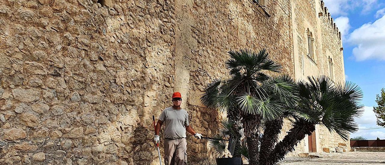 Trabajo y salud,  un doble beneficio a 
través de la jardinería