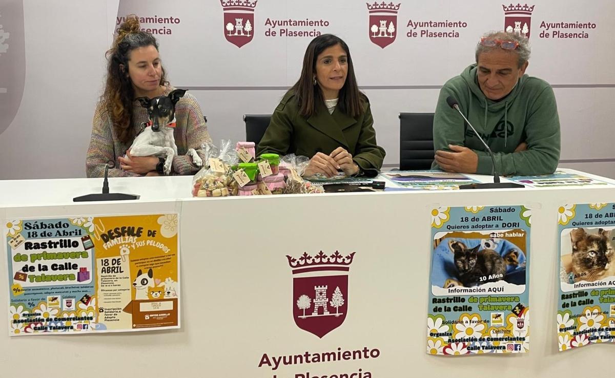 Presentación del rastrillo de primavera de la calle Talavera de Plasencia.