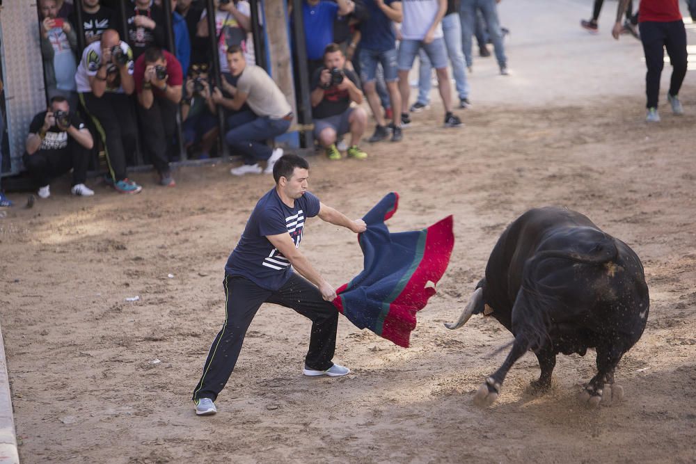 Toros y homenaje a la Tercera Edad en las fiestas de Vila-real