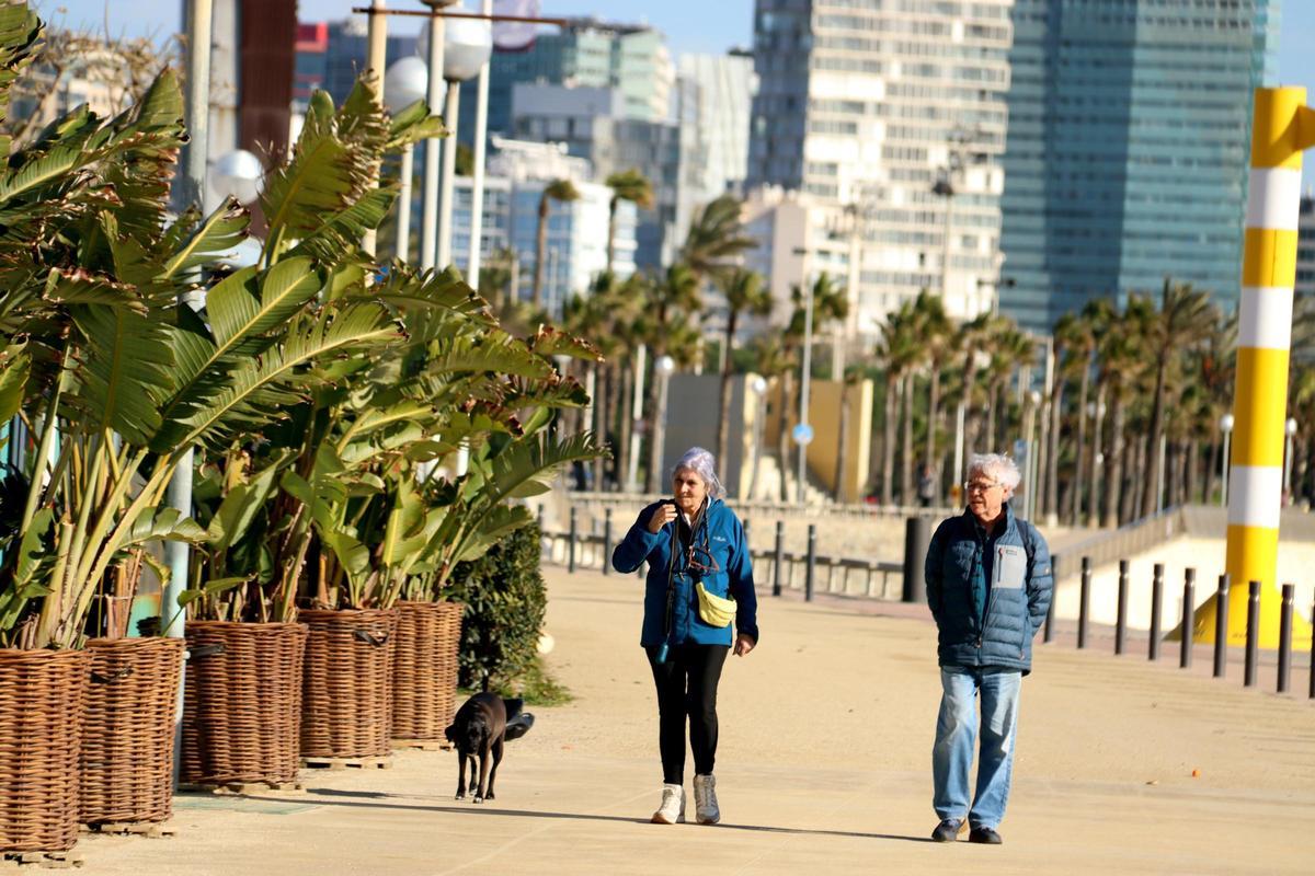 Una parella passeja amb el seu gos pel front marítim de Barcelona, a la zona de la platja de Nova Icària, durant un episodi de forts vents a la capital catalana
