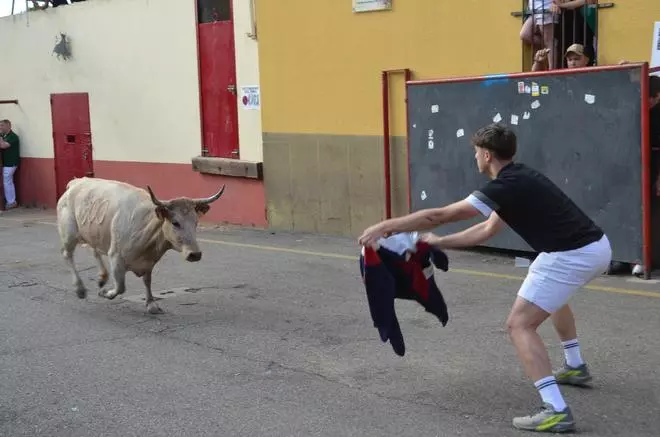 GALERÍA: Así se vivió la "Vaca de la Juventud" de No Te Metas, en Benavente