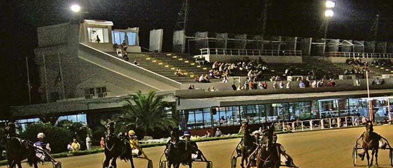 Salida lanzada de una carrera de las temporadas de nocturnas del Hipòdrom Son Pardo.