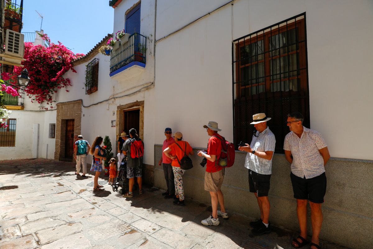 Patio Julio Romero de Torres 15