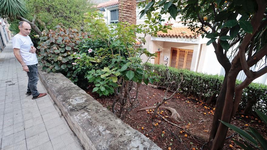 Las ratas asedian a los vecinos de la calle Los Silos