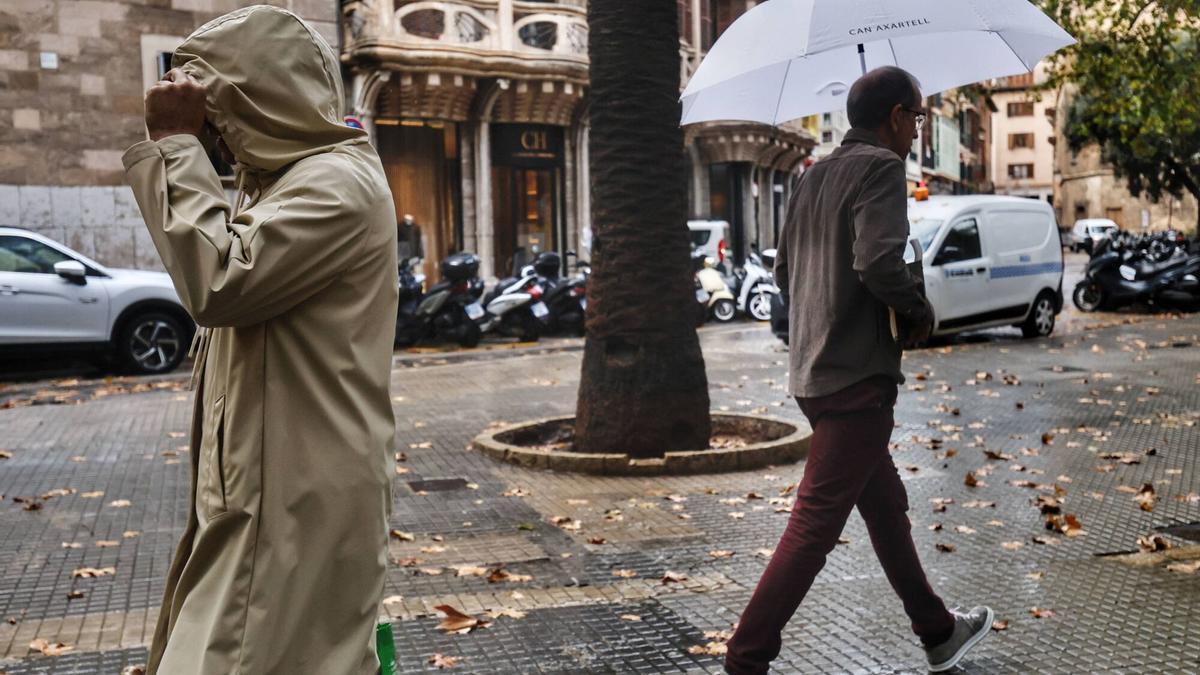 La Aemet activa la alerta en Mallorca por la borrasca Francis y la cota de nieve baja a 500 metros